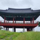 오봉산 맨발 등산로 | 대구 북구 침산공원(오봉산) 침산정과 전망대! 공원 둘레길 산책 정보! 금호강과 경부고속도로 서대구...
