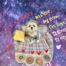 단골가개 이미지