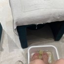 26호 태풍 파북, 윈덤호이안리조트 탐방, 안방비치, 러스틱하우스, 베트남네일받아본후기, 호이안 재방문
