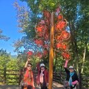 내장산 조각공원 단풍테마공원 / 임실치즈테마파크 개인사진 이미지