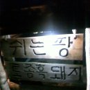 제주토종흑돼지 이미지