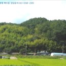 진골천 네이버블로그