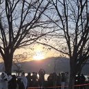 두물머리화장실(상춘원 옆) | 1월 1일 두물머리 해돋이 다녀온 날 | 해돋이 스팟 주차 화장실 연잎핫도그 후기