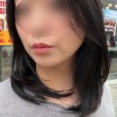 신촌애견미용실 | 신촌역 헤어샵 미용실 중단발 레이어드컷 잘하는 곳 데몬헤어