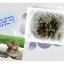 주왕산삼계탕식당 네이버블로그