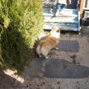 늘바다통나무집 이미지