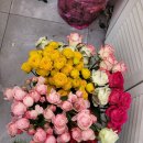 오델드 플레르 이미지