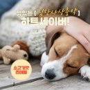 하트약국 이미지