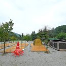 용추돌모리캠핑장 이미지