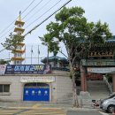 제1능이버섯 - 양산시 양산대로 107 | 제1능이버섯