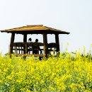 하늘정원 이미지
