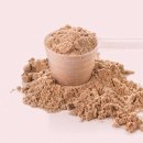 파인어스PT 이미지