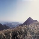 승학산 496m- 부산시 사하구 이미지