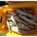 동윤농장 이미지