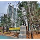 동양세무회계사무소 네이버블로그