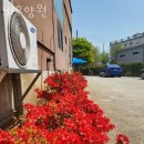 YJ요양원 | 야당동 쾌적하고 시설좋은 YJ요양원 위치정보