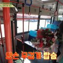 일다방 이미지