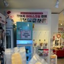 건강낙원약국 | 애견카페] 도심에서 강아지와 마음껏 뛰어 놀 수 있는 해운대 애견동반 카페 ‘스포독’ 재재재방문 후기