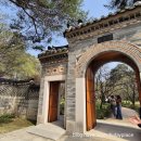 봄나들이 미술관투어 | 호암 미술관 겸재 정선 전시 희원 투어 금옥당 팝업 코스 벚꽃 구경 빙수 도슨트 시간 후기(할인 주차...