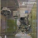 분당 고은 동물병원 네이버블로그