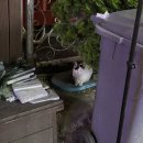 뮤즈 동전 노래연습장 이미지