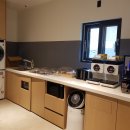 브라운 도트 이미지