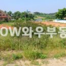 택지주유소 이미지