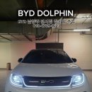돌핀짐(Dolphin Gym) | BYD 남양주 별내 전시장 | BYD 돌핀 출고 후기 가성비 전기차 찾다가 결국 돌핀으로 결정했습니다