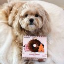 (주)돼지와 건강 | 강아지 자연식 도기넛 돼지 중단백 화식 다이어트에 좋은 단일 단백질 사료