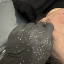 다르아크네 네이버블로그