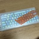 젤리피쉬 | [직장인 키보드 추천] 그루브스톤 GV10 저소음밀키축 38g 사용후기/ 젤리피쉬 키캡교환