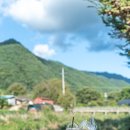 자올보듬 이미지