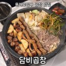 담비곱창 | 을지로입구역 맛집 회식은 담비곱창