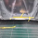 이레1급카써비스 이미지