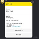 레티피코 이미지