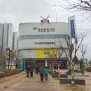 군산꽁보리 이미지
