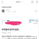 돈드리면