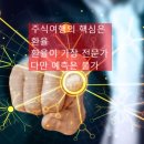 급시우 이미지