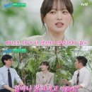 장군부대찌개 앞 교통섬 | 🇵🇭 세부 어학연수 CPI 4주차