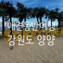 새나루길 해안로 | 애견동반여행 : 강아지와 여름휴가!강원도 양양 1박 2일 여행 기록