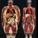 36.5체온다이어트 이미지