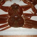 가정1-02-028 이미지