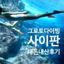 EG투어버스 I코스 | 사이판 투어 추천 그로토 동굴 다이빙 포인트 내돈내산 후기 🩵