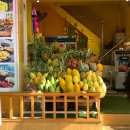 수정-31 | 31살 인공수정 1차·2차 실패 후기 (난임병원 실제 경험)