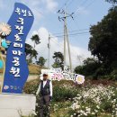 정읍 옥정호 구절초 축제 관람 이미지