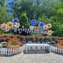 케이스팟수국전망대카페 | 용인자작나무숲 수국축제 후기｜입장료, 카페, 전망대, 수국 포토존