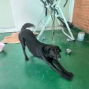 옥천119지역대 이미지