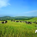 하늘아래목장 이미지