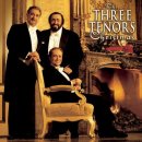 Domingo, Pavarotti, Carreras [`01 Three Tenors Christmas] 동영상 도착했습니다!~^^ 이미지