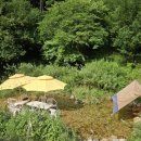 포레스트벨리 이미지